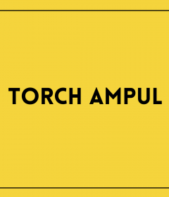Torch Ampul